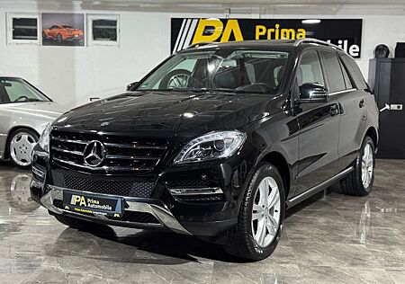 Mercedes-Benz ML 250 CDI BlueTec 1. Hand Xenon Kamera AHK