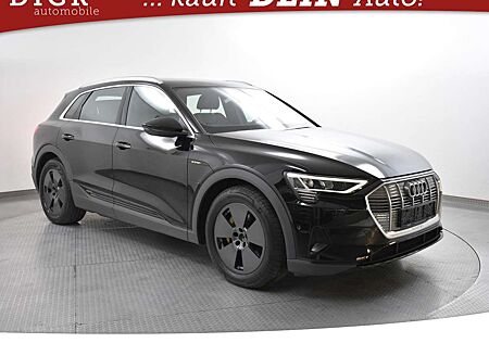 Audi e-tron 55 Quatt S Line NAVI+LED+SHZ+KAMER+AHK+19