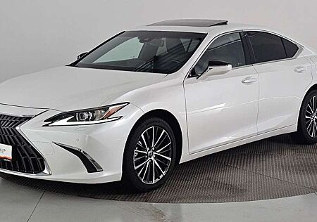 Lexus ES 300 h Business Line Navigation Interieur braun