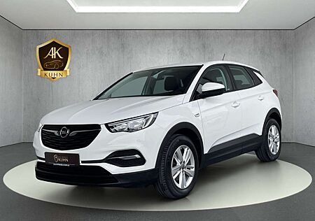 Opel Grandland EDITION*INTELLiLINK*WINTERPAKET*SHZ