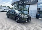 Lexus UX 250h Style Edition ACC FLA SpurH LM KAM LED