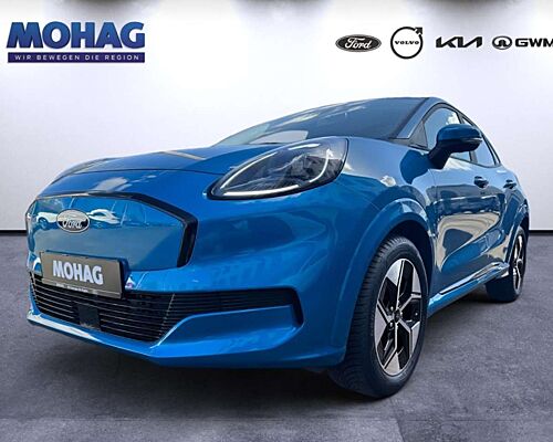 Ford Puma *Winter-Paket-360°Kamera*