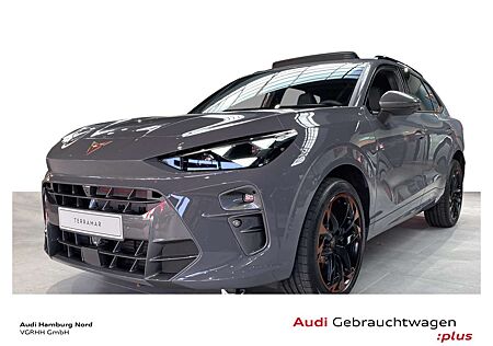 Cupra Terramar 2.0 TSI VZ 4Drive DSG Navi Kameras