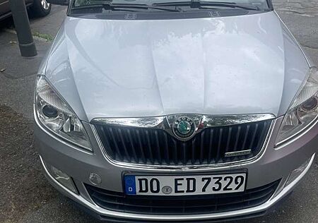 Skoda Fabia 1.2 TDI DPF Combi GreenLine