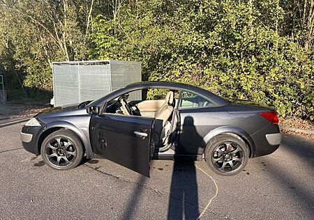 Renault Megane 1.9 dCi Coupe-Cabriolet Privilege