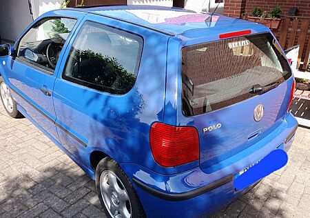 VW Polo Volkswagen 55 Interlagos