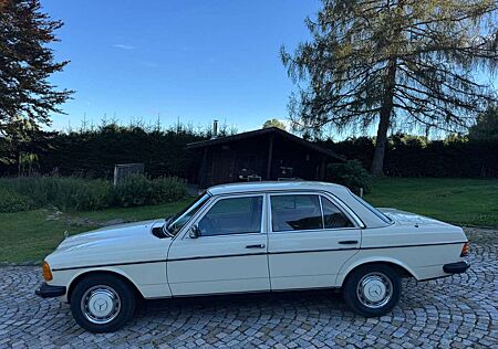 Mercedes-Benz 300 D w123 rostfrei, 80000 KM, Schalter!
