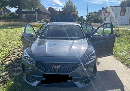 Cupra Formentor 2.0 TDI 4Drive DSG