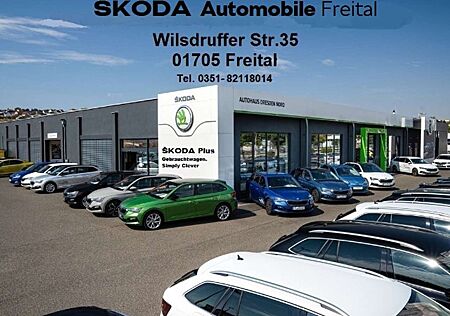 Skoda Fabia Selection 1,0 TSI *LENKRADHEIZ/ PDC*