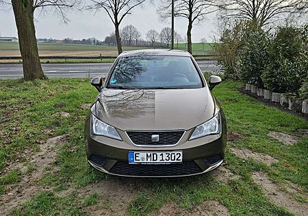 Seat Ibiza Style Salsa