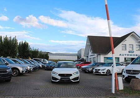 Cupra Leon Leder,Navi,AHK,DSG,LED,Sportsitz