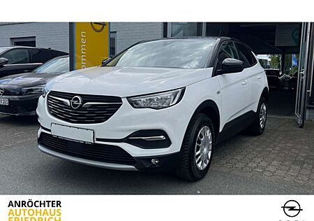 Opel Grandland X Design Line AHK Kamera PDC SHZ LHZ