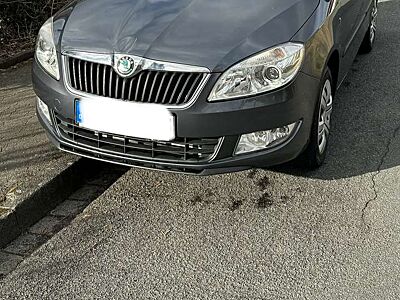 Skoda Fabia 1.9 TDI PD Combi Ambiente