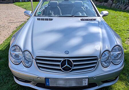 Mercedes-Benz SL 500 AMG-Styling