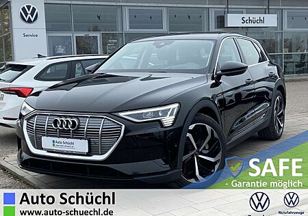 Audi e-tron 50 quattro 21"+NAVI+PDC+LED-MATRIX+ASSIST