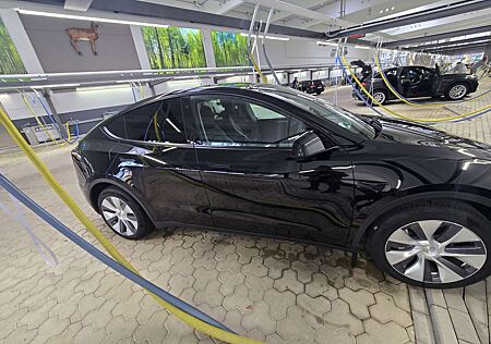 Tesla Model Y RWD