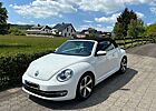 VW Beetle Volkswagen The Cabriolet 1.2 TSI