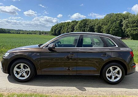 Audi Q5 50 TDI quattro sport*ACC*AHK*Luft*Kamera*Lede