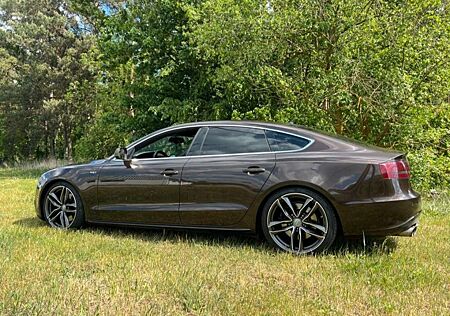 Audi S5 Sportback S tronic 7 gang Exclusive