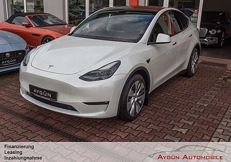 Tesla Model Y Long Range Dual AWD - Panorama