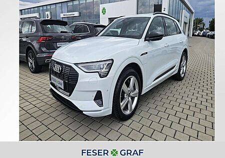 Audi e-tron advanced 55 quattro 300 kW ACC B&O Matrix