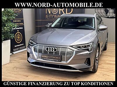 Audi e-tron 50 QU.Advanced Leder/AHK/Kamera/Matrix Advanced