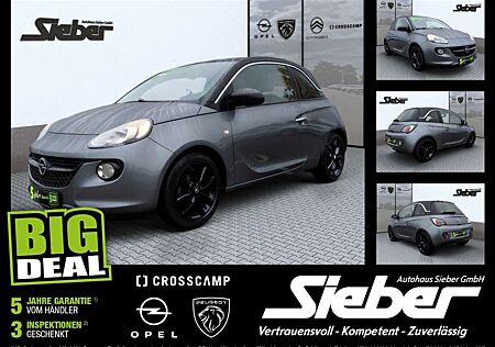 Opel Adam 1.4 120 Jahre LM KlimaA W-Paket PDC Leder