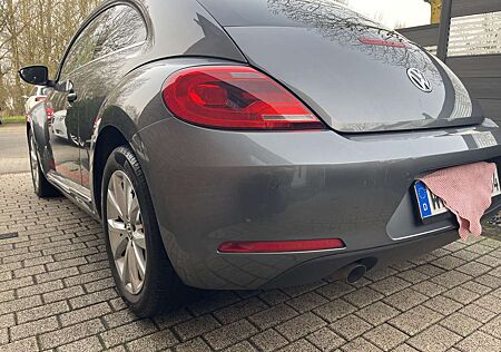 VW Beetle Volkswagen Club BMT