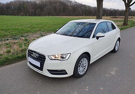 Audi A3 , 1,6 TDI, 1. Hd., Scheckheft, sehr gepflegt