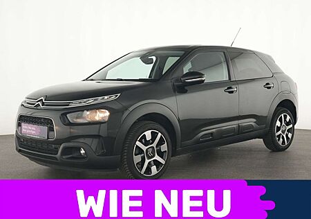 Citroën C4 Cactus Citroen Shine Panorama|Navi|Sitzheizung|PDC