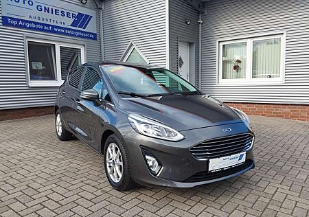 Ford Fiesta 1.0 EcoBoost Titanium LED/PDC/SHZ 70 kW (95 PS)...