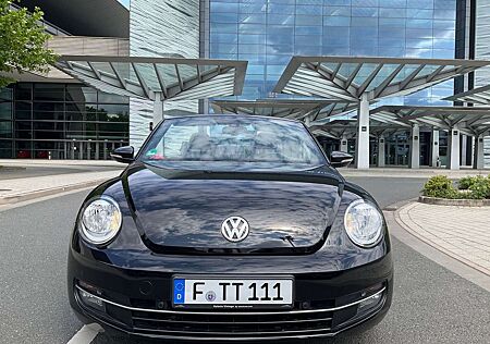 VW Beetle Volkswagen The Cabrio 1.2 TSI CUP SHZ PDC nur 39T Service NEU