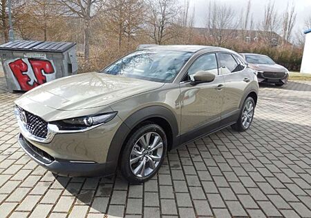 Mazda CX-30 2.5e-SKYACTIV G 140PS Automatik Centerline mit Des
