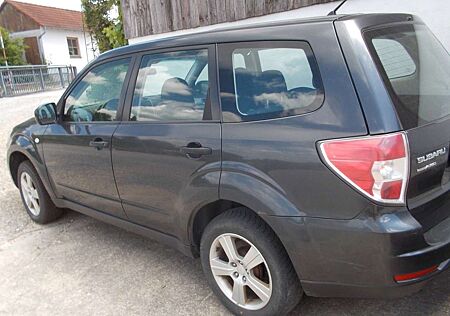 Subaru Forester Active