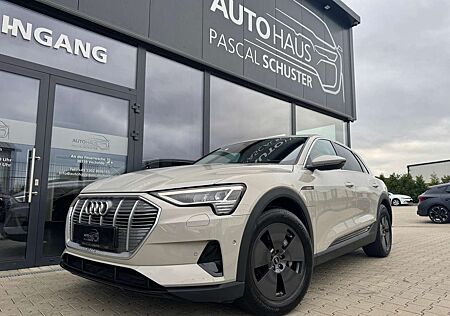 Audi e-tron 50 quattro/LED/AHK/LUFT/LEDER/TEMPOMAT
