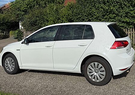 VW Golf Volkswagen VII 1.6 TDI BlueMotion Technology Cup