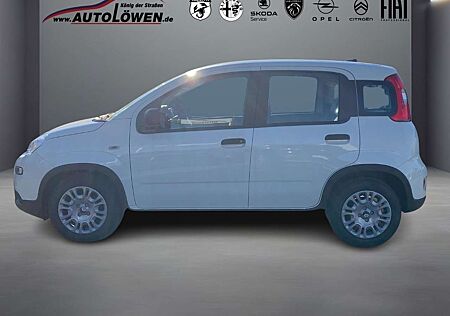 Fiat Panda 1.0 Mild Hybrid Pandina Cross (EURO 6e)