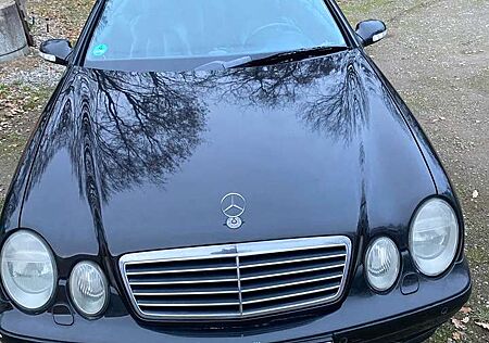 Mercedes-Benz CLK 230 Cabrio Kompressor Avantgarde