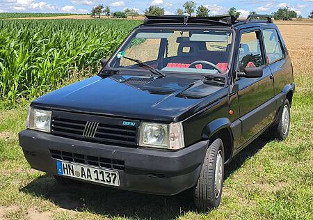 Fiat Panda (PKW) Selecta CLX