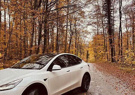 Tesla Model Y Long Range RWD