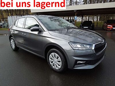 Skoda Fabia 1.0TSI DSG Selection/LED/Sitzheizung/SmartLink/PDC
