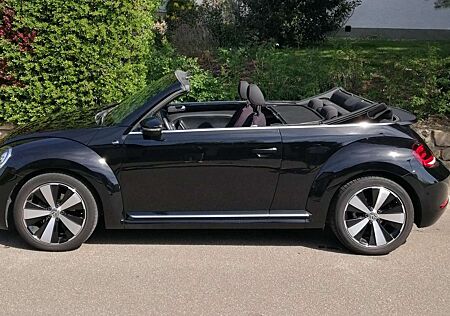 VW Beetle gebraucht kaufen VW Beetle Volkswagen BeetleTSI DSG (BlueM