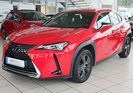 Lexus UX 250h Navi LED Kamera Lenkradhzg.