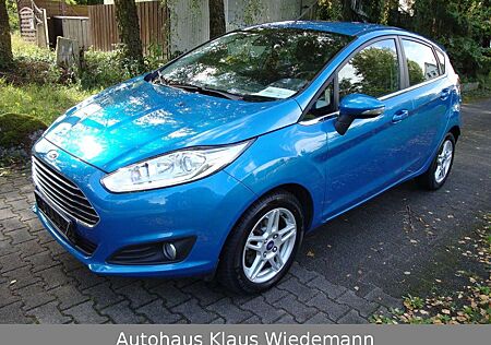 Ford Fiesta 1.0 EcoBoost S/S Titanium - 2.Hd./66 TKM