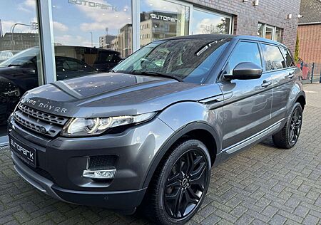 Land Rover Range Rover Evoque Pure LM19°Meridian°Navi°