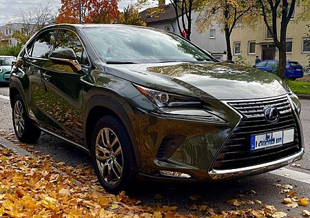 Lexus NX 300 NX 300h NX 300h E-FOUR Executive Line