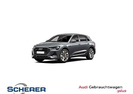 Audi e-tron 50 S line quattro Navi/ACC/Kamera/uvm.