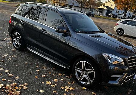 Mercedes-Benz ML 350 CDI BlueTec (166.024)