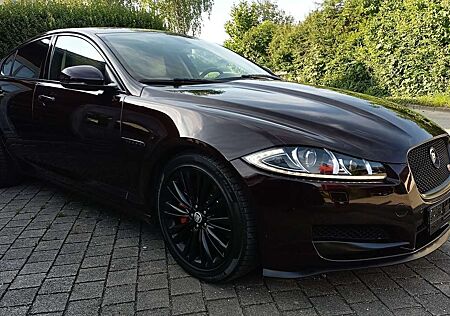 Jaguar XF 3.0 V6 S Diesel BiTurbo TOP Zustand