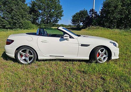Mercedes-Benz SLK 250 (BlueEFFICIENCY) 7G-TRONIC
